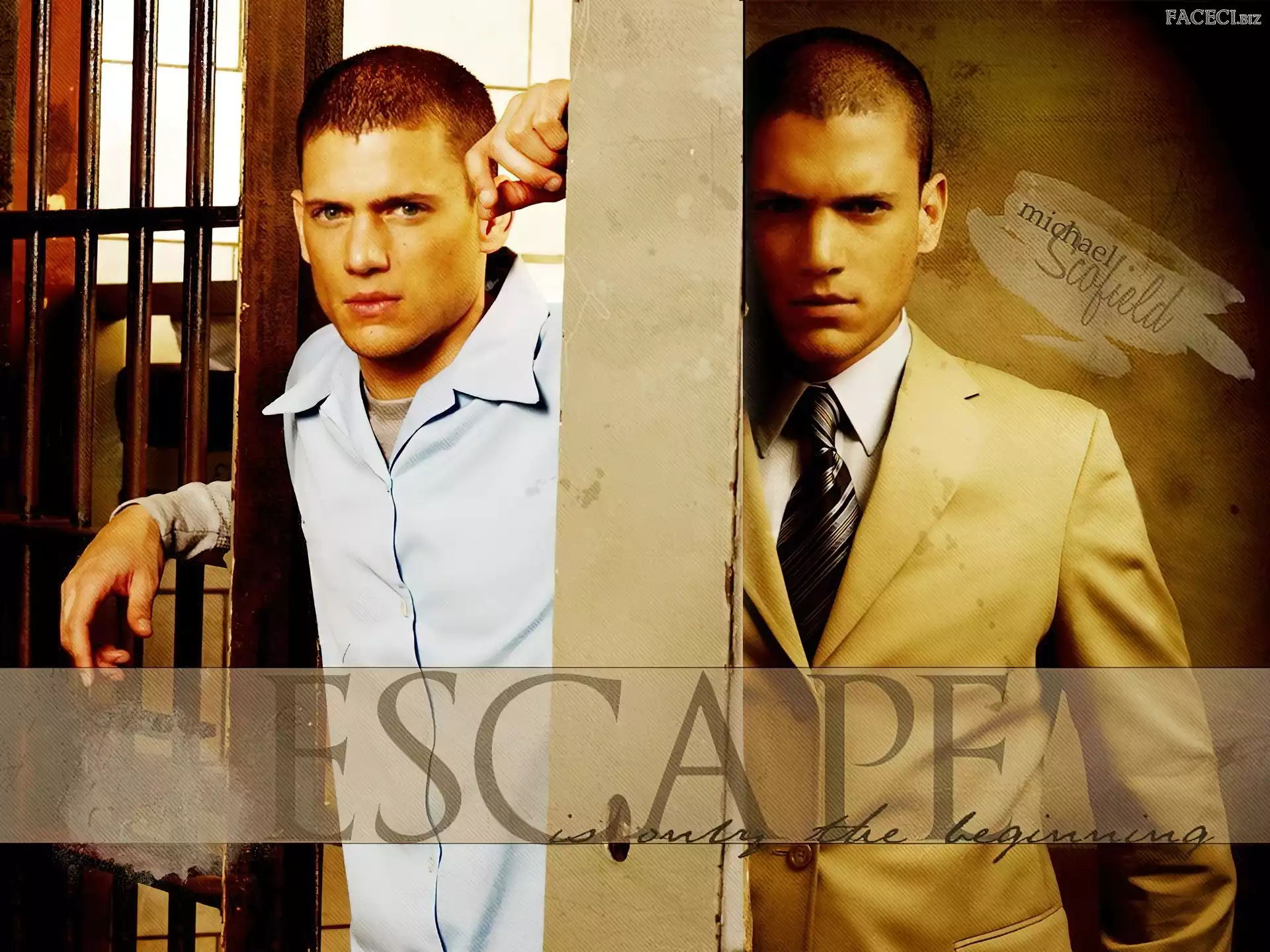 Wentworth Miller, kraty